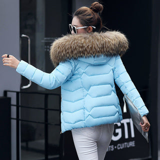 Everest Euphoria X Jacket