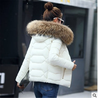 Everest Euphoria X Jacket