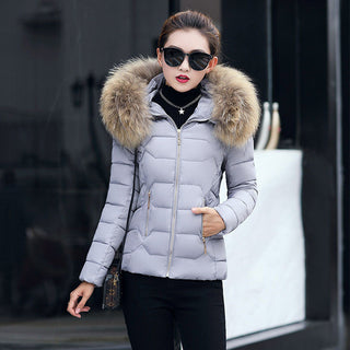 Everest Euphoria X Jacket