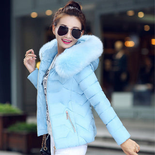 Everest Euphoria X Jacket