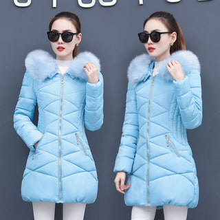 Willow X Jacket