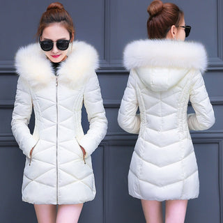 Willow X Jacket